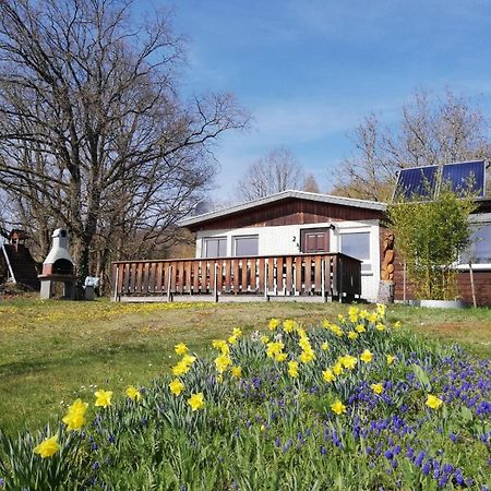 Ferienhaus Chiara, Suedharz, Harztor Ilfeld 外观 照片